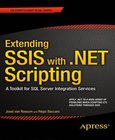 Extending SSIS with .NET Scripting Image