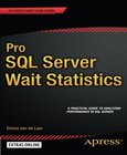 Pro SQL Server Wait Statistics Image