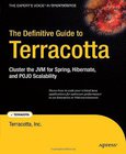 The Definitive Guide to Terracotta Image