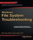 Windows File System Troubleshooting Image