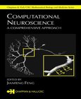 Computational Neuroscience Image