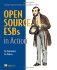 Open-Source ESBs in Action Image