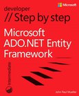 Microsoft ADO.NET Entity Framework Image