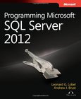 Programming Microsoft SQL Server 2012 Image