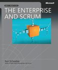 The Enterprise and Scrum Image