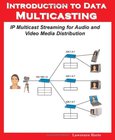 Introduction to Data Multicasting Image