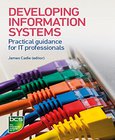 Developing Information Systems Image