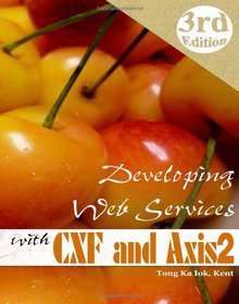 Developing Web Services Image