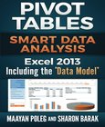 Excel 2013 Pivot Tables: Smart Data Analysis: Including the Data Model Image