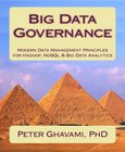 Big Data Governance Image
