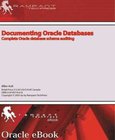 Documenting Oracle Databases Image