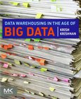 Data Warehousing in the Age of Big Data Image