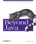 Beyond Java Image