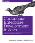 Continuous Enterprise Development in Java Image