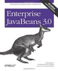 Enterprise JavaBeans 3.0 Image