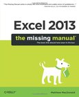 Excel 2013 Image