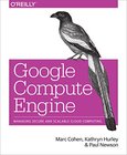 Google Compute Engine Image