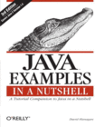 Java Examples in a Nutshell Image