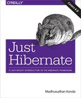 Just Hibernate Image