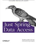 Just Spring Data Access Image