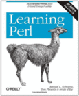 Learning Perl Image