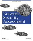 Network Security Assessment Image
