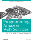 Programming Amazon Web Services Image