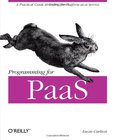 Programming for PaaS Image
