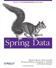 Spring Data Image