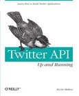 Twitter API Image