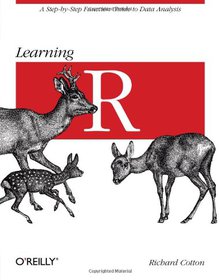 Learning R Image