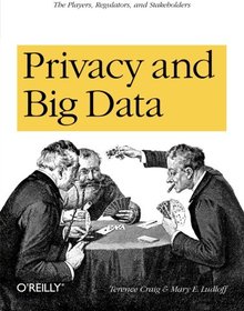 Privacy and Big Data Image