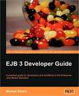 EJB 3 Developer Guide Image