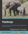 Hadoop Beginner's Guide Image