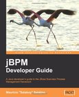 jBPM Developer Guide Image