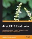 Java EE 7 First Look Image
