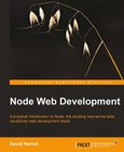 Node Web Development Image