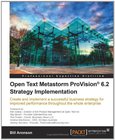 Open Text Metastorm ProVision 6.2 Strategy Implementation Image