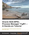Oracle SOA BPEL Process Manager 11gR1 Image