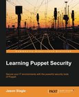 Learning Puppet Security Image