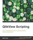 QlikView Scripting Image