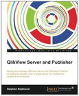 QlikView Server and Publisher Image