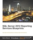 SQL Server 2012 Reporting Services Blueprints Image