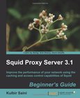 Squid Proxy Server 3.1 Image