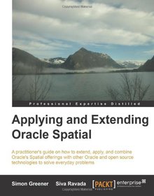 Applying and Extending Oracle Spatial Image