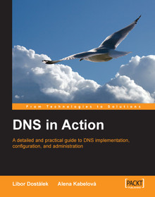 DNS in Action Image