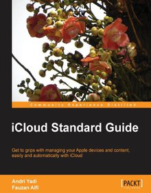 iCloud Standard Guide Image