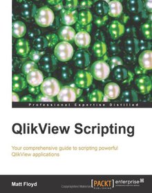 QlikView Scripting Image