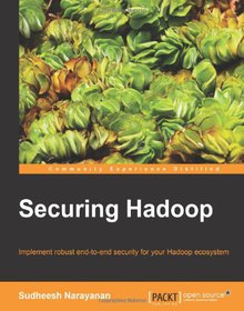Securing Hadoop Image