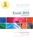 Microsoft Excel 2013 Image